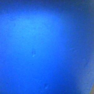 Meet your Posher, Juli